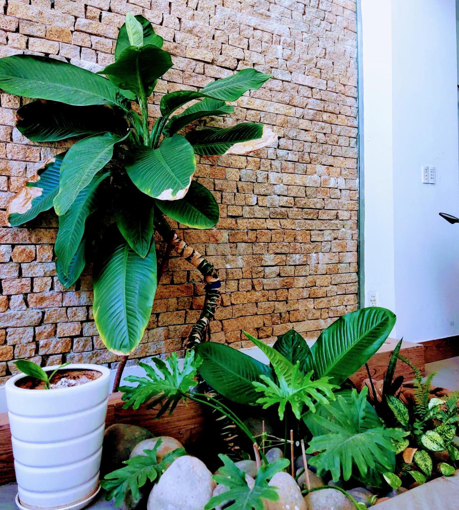 Nap Homestay Kinh Dinh المظهر الخارجي الصورة